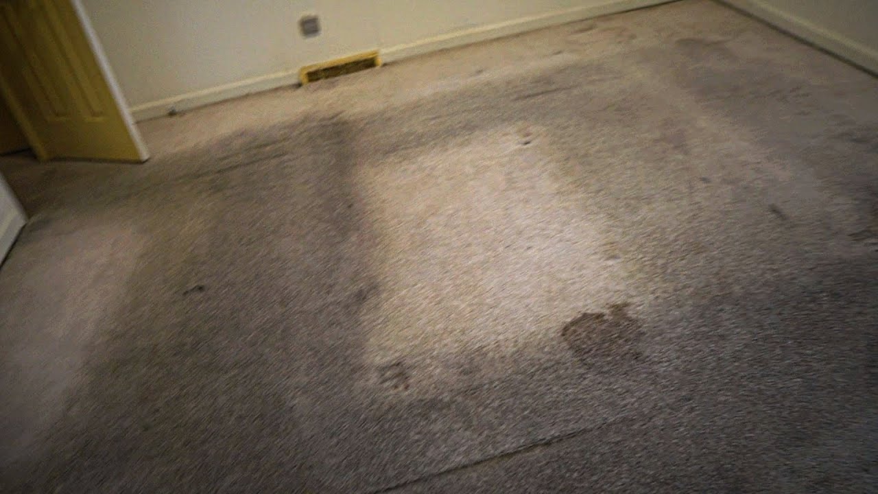 Carpet Cleaning Service
